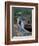 Blue-Footed Boobies of the Galapagos Islands, Ecuador-Stuart Westmoreland-Framed Photographic Print