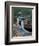 Blue-Footed Boobies of the Galapagos Islands, Ecuador-Stuart Westmoreland-Framed Photographic Print