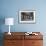 Blue-Footed Boobies (Sula Nebouxii) at Puerto Egas-Michael Nolan-Framed Photographic Print displayed on a wall