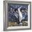 Blue Footed Boobies-Harro Maass-Framed Giclee Print