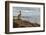 Blue-footed booby and brown pelican, Ecuador, Galapagos Islands, Santa Cruz Island.-Adam Jones-Framed Photographic Print