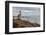 Blue-footed booby and brown pelican, Ecuador, Galapagos Islands, Santa Cruz Island.-Adam Jones-Framed Photographic Print