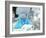 Blue-footed Booby Feet-Peter Scoones-Framed Photographic Print