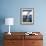 Blue Footed Booby, Galapagos Islands, Ecuador-Gavriel Jecan-Framed Photographic Print displayed on a wall