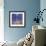 Blue Forest 2, 2012-David Newton-Framed Giclee Print displayed on a wall