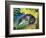 Blue Fox-Franz Marc-Framed Premium Giclee Print