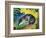 Blue Fox-Franz Marc-Framed Art Print