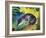 Blue Fox-Franz Marc-Framed Art Print