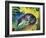 Blue Fox-Franz Marc-Framed Art Print