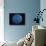Blue Frisbee-null-Photographic Print displayed on a wall