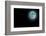 Blue Full Moon Isolated on a Black Sky-Steve Collender-Framed Photographic Print