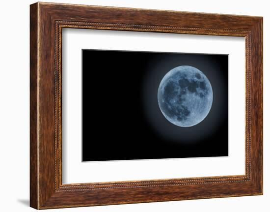 Blue Full Moon Isolated on a Black Sky-Steve Collender-Framed Photographic Print