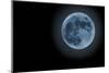 Blue Full Moon Isolated on a Black Sky-Steve Collender-Mounted Photographic Print