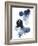 Blue Galaxy I-Grace Popp-Framed Premium Giclee Print