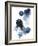 Blue Galaxy I-Grace Popp-Framed Premium Giclee Print