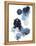 Blue Galaxy I-Grace Popp-Framed Stretched Canvas