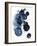 Blue Galaxy II-Grace Popp-Framed Premium Giclee Print