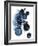 Blue Galaxy II-Grace Popp-Framed Premium Giclee Print