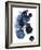 Blue Galaxy II-Grace Popp-Framed Premium Giclee Print