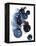 Blue Galaxy II-Grace Popp-Framed Stretched Canvas