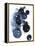 Blue Galaxy II-Grace Popp-Framed Stretched Canvas