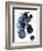 Blue Galaxy II-Grace Popp-Framed Art Print