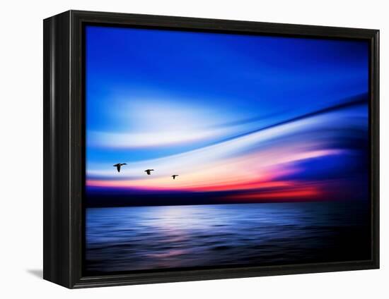 Blue Geese-Josh Adamski-Framed Premier Image Canvas