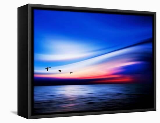 Blue Geese-Josh Adamski-Framed Premier Image Canvas