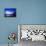Blue Geese-Josh Adamski-Framed Premier Image Canvas displayed on a wall