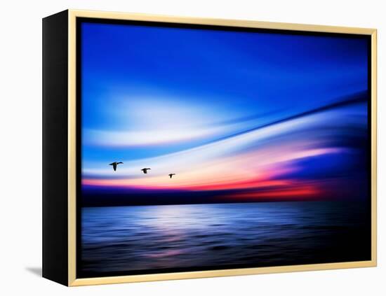 Blue Geese-Josh Adamski-Framed Premier Image Canvas