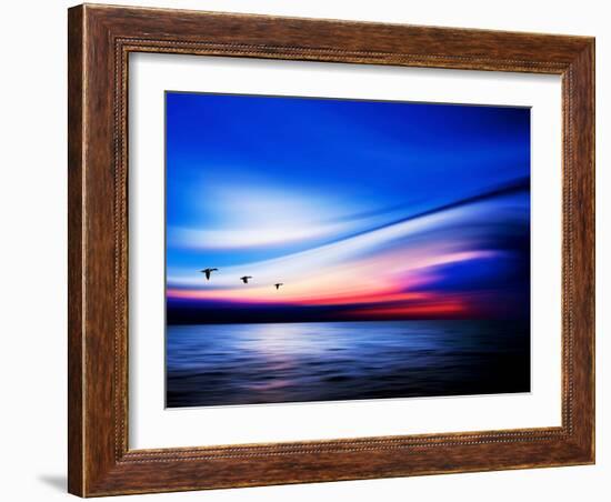 Blue Geese-Josh Adamski-Framed Photographic Print