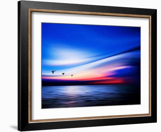 Blue Geese-Josh Adamski-Framed Photographic Print