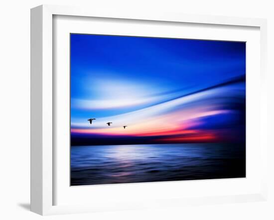 Blue Geese-Josh Adamski-Framed Photographic Print