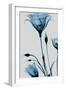 Blue Gentian-Albert Koetsier-Framed Art Print