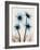 Blue Gerbera Bouquet-Albert Koetsier-Framed Art Print