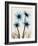 Blue Gerbera Bouquet-Albert Koetsier-Framed Art Print