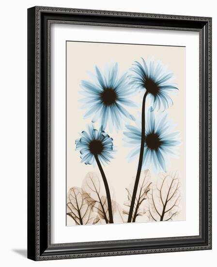 Blue Gerbera Bouquet-Albert Koetsier-Framed Art Print