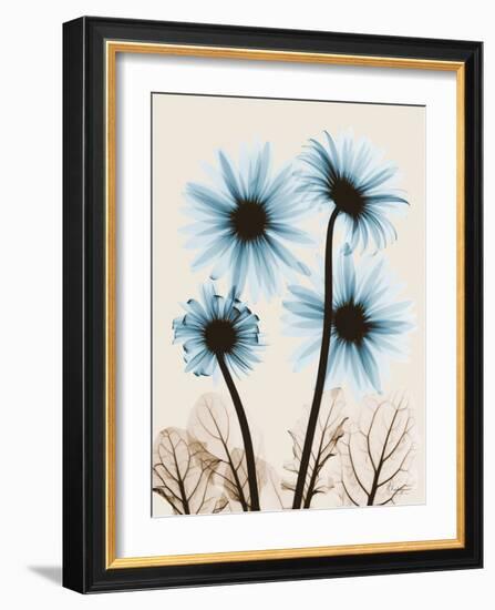 Blue Gerbera Bouquet-Albert Koetsier-Framed Art Print