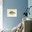 Blue Gill Sun Fish-null-Framed Giclee Print displayed on a wall