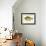 Blue Gill Sun Fish-null-Framed Giclee Print displayed on a wall