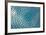 Blue Glass Skylight-Take to the Seas-Framed Art Print