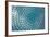 Blue Glass Skylight-Take to the Seas-Framed Art Print