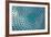 Blue Glass Skylight-Take to the Seas-Framed Art Print