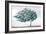 Blue Golden Tree-Ian C-Framed Art Print