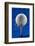 Blue Golf Ball Splash-Steve Gadomski-Framed Photographic Print