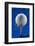 Blue Golf Ball Splash-Steve Gadomski-Framed Photographic Print