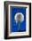 Blue Golf Ball Splash-Steve Gadomski-Framed Photographic Print