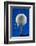 Blue Golf Ball Splash-Steve Gadomski-Framed Photographic Print