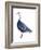 Blue Goose (Chen Caerulescens), Birds-Encyclopaedia Britannica-Framed Art Print