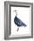 Blue Goose (Chen Caerulescens), Birds-Encyclopaedia Britannica-Framed Art Print